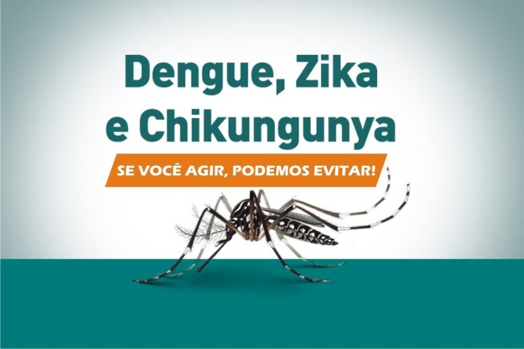 Dengue, Zika e Chikungunya - ACICG.