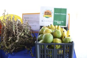 Divulgação PMCG - ACICG.