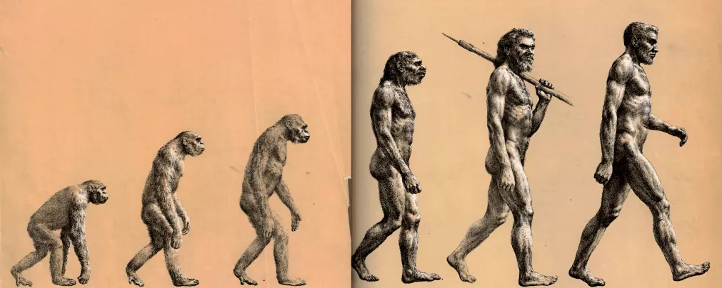 Teoria da Evolução Charles Darwin - ACICG.