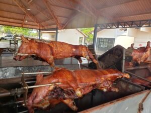 <strong>Porco no Rolete da Colônia de Férias acontece dia 10 de setembro</strong>